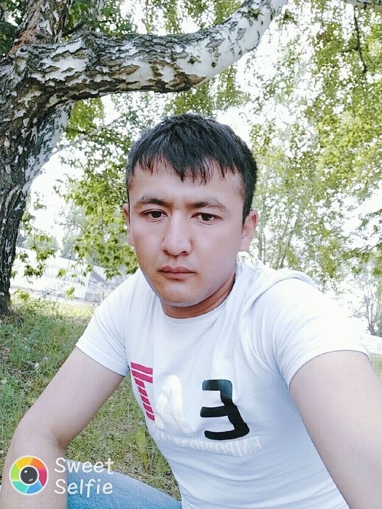  20476034  , 29 ,    