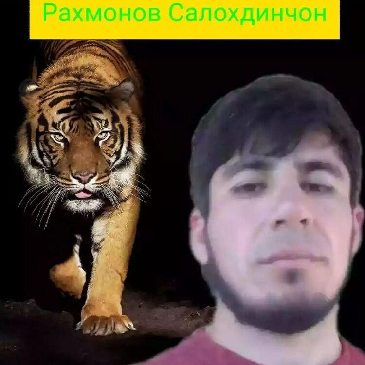  30835524  , 34 ,    