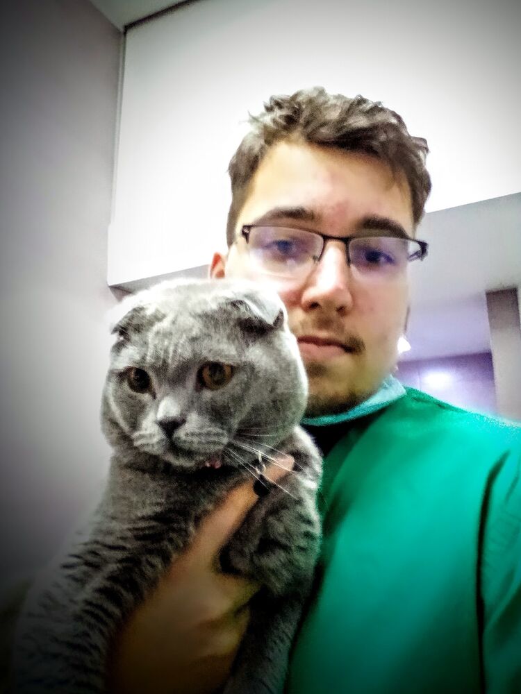 ���� 33767254 ����� ������, 25 ���, ���� ���������� � ������