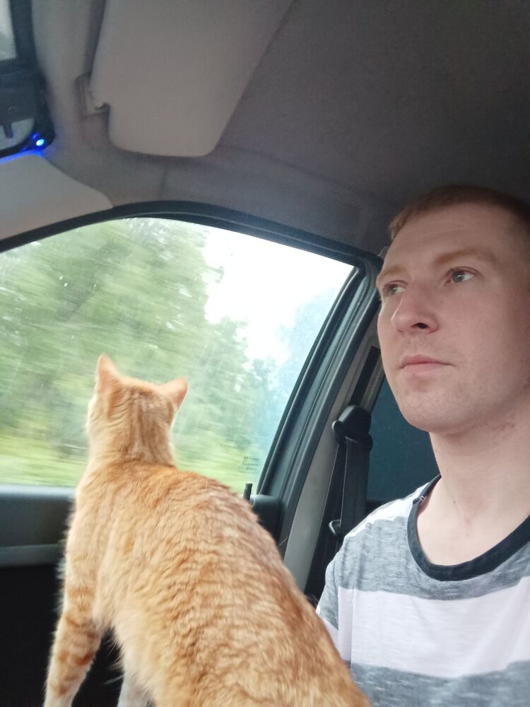 ���� 23378224 ������� ����, 35 ���, ���� ���������� � ������������