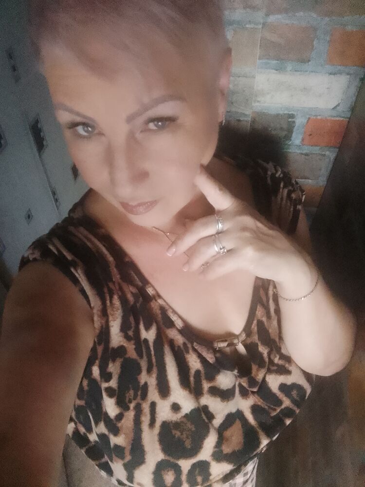  53844964  , 56 ,    