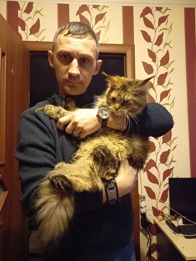  ,   , 48 ,   ,   