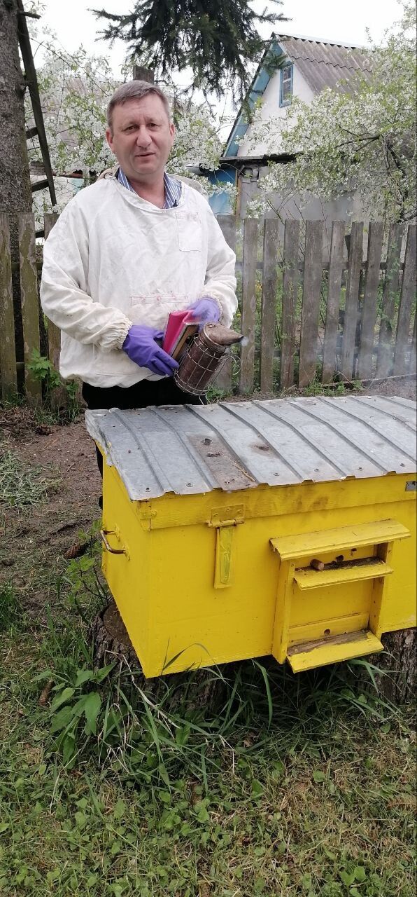 ���� 36976784 ������� �����, 32 ����, ���� ���������� � �����