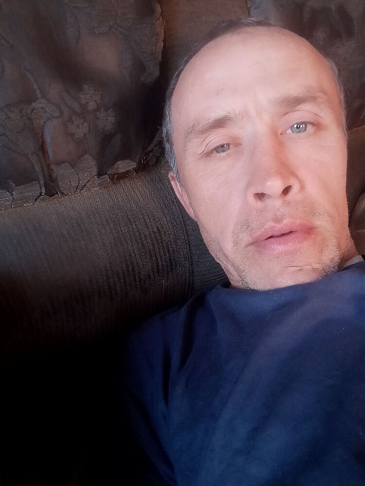  52391404  , 44 ,    