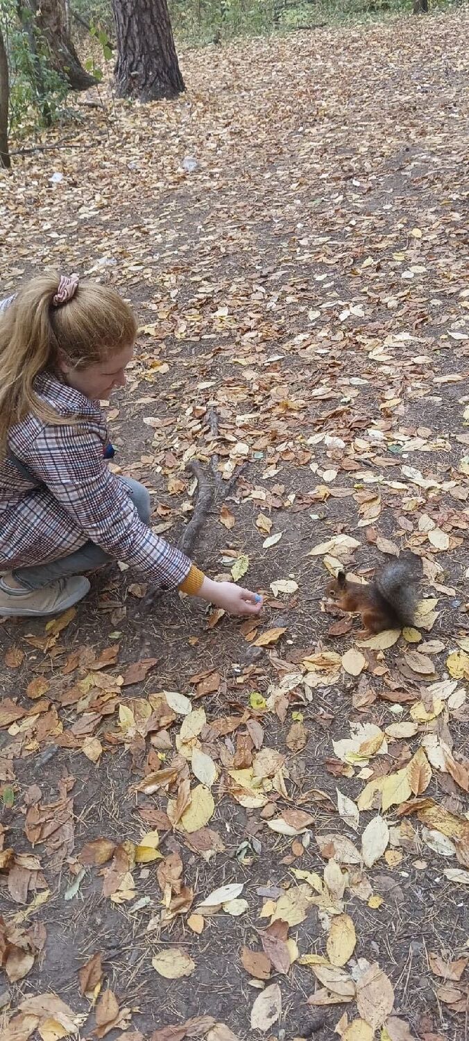 ���������� �����, ���� ������� ����, 35 ���, ������������ 