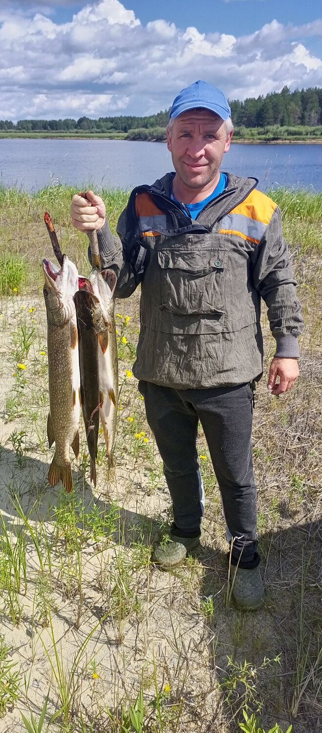 ���������� ������, ���� ������� �����, 38 ���, ������������ ��� ������, ����� � ���������, c�������� ���������