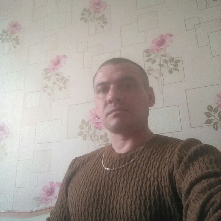  40661714  , 42 ,    