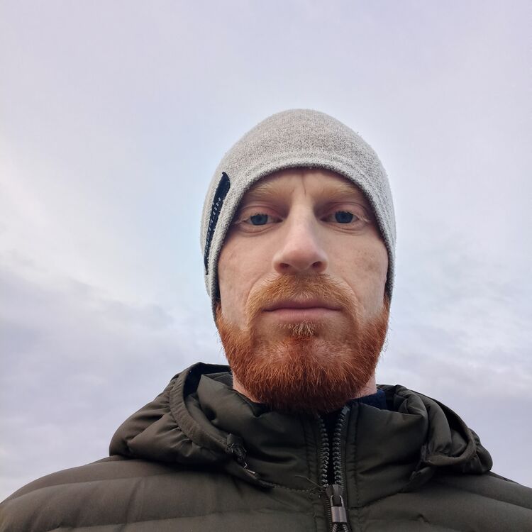 ���� 31221384 ������� �������, 31 ���, ���� ���������� � ������