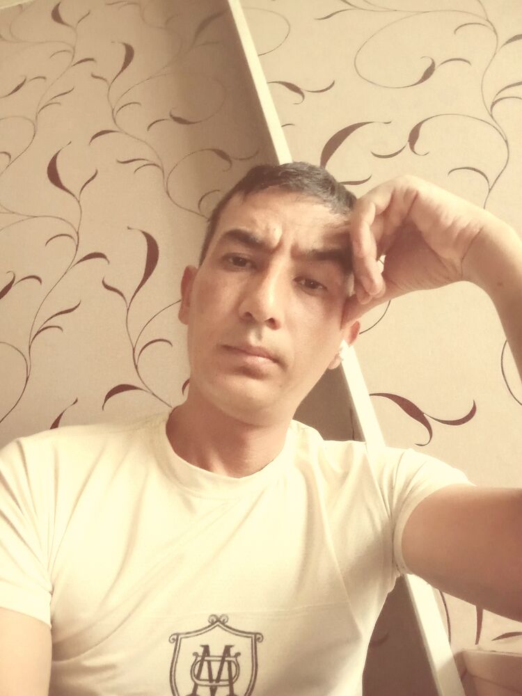  53040884  , 31 ,    