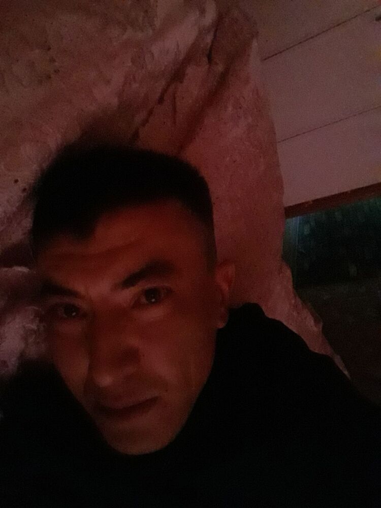  43774174  , 37 ,    -