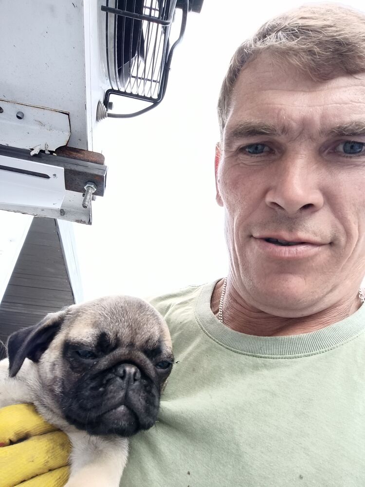 ���� 56040934 ������� ����, 36 ���, ���� ���������� � �����-����������