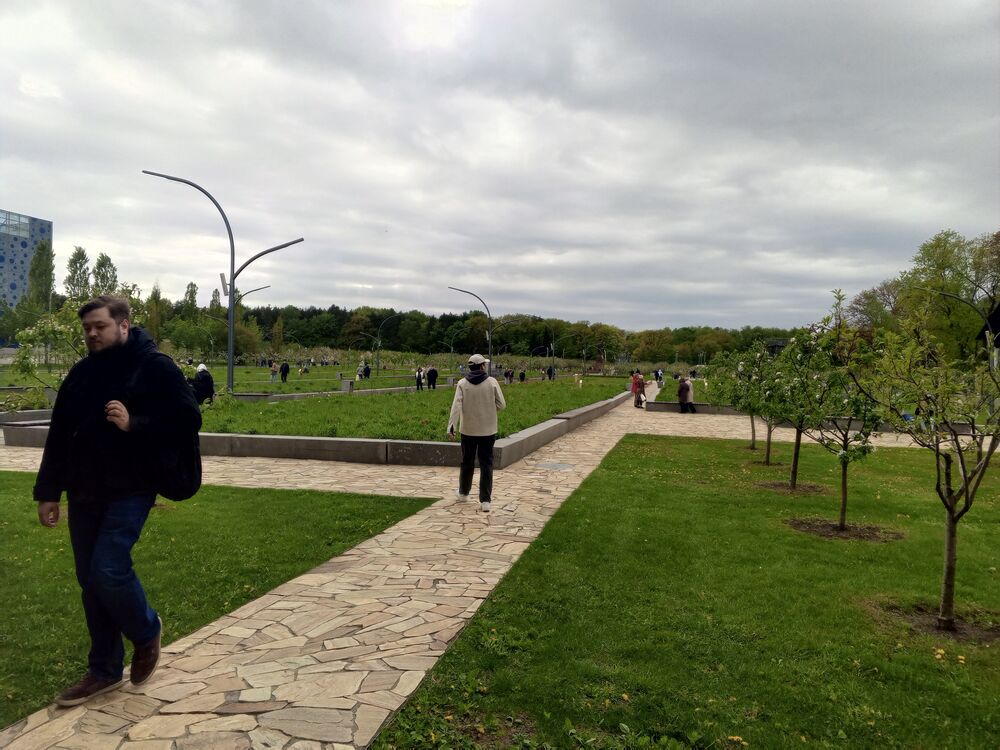 ���������� ������, ���� ����� ����, 25 ���, ������������ ��� ������, ����� � ���������, c�������� ���������, ���������