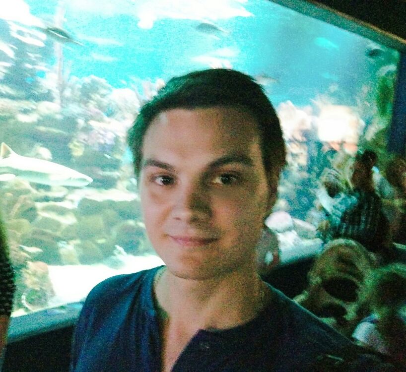 ���������� �����-���������, ���� ������� ������, 31 ���, ������������ ��� ������, ����� � ���������, c�������� ���������