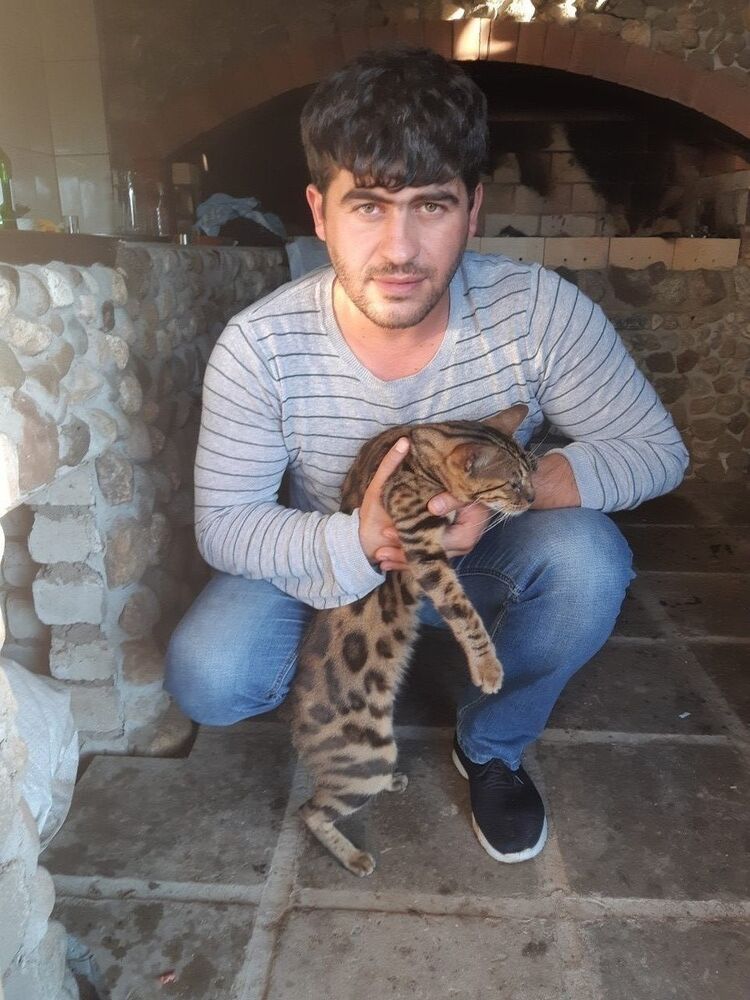 ���������� ���������, ���� ������� �����, 37 ���, ������������ ��� ������, ����� � ���������, c�������� ���������