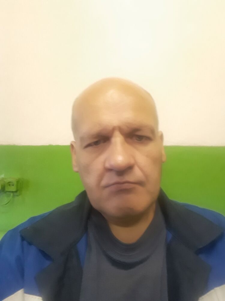  23510954  , 49 ,    