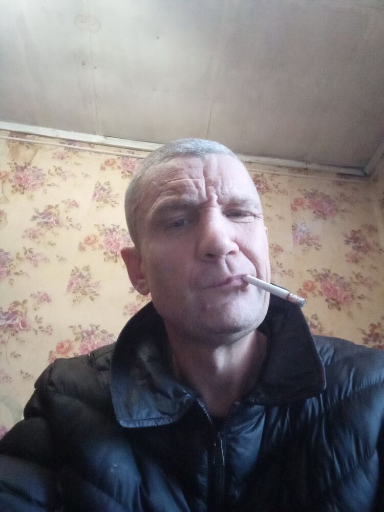  33453634  , 43 ,    