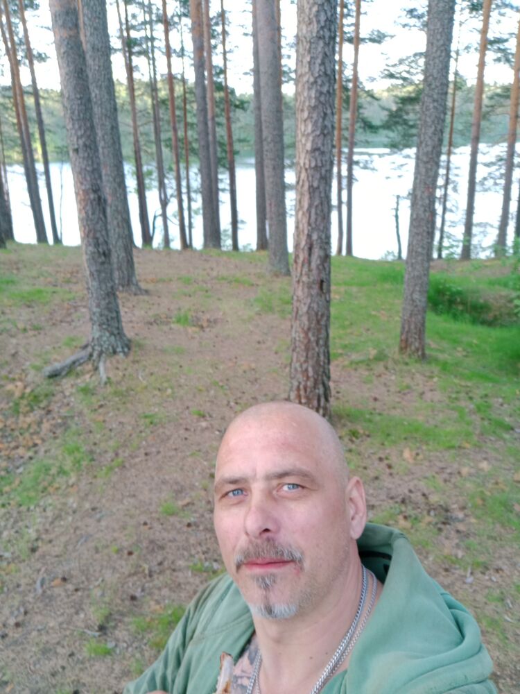  33960264  , 49 ,    