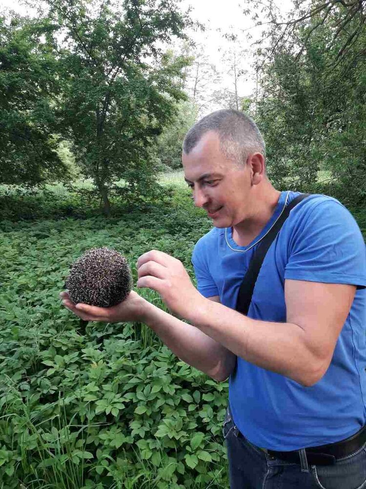 ���� 9668504 ������� ������, 47 ���, ���� ���������� � ������