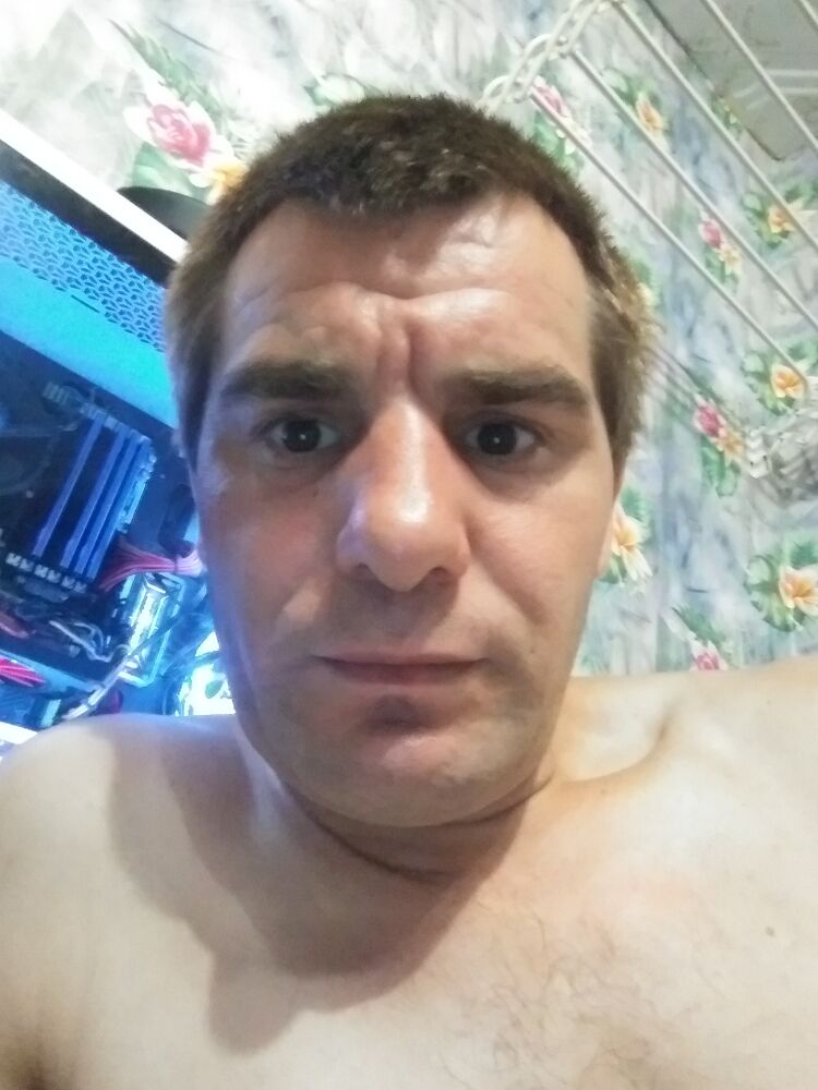  44314694  , 36 ,    