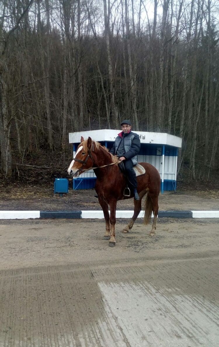 ���� 10956964 ������� ������, 55 ���, ���� ���������� � ������