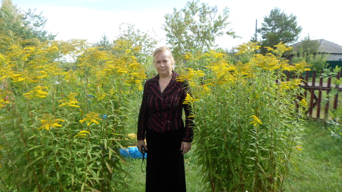 ���������� ����, ���� ������� �������, 57 ���, ������������ ��� ����� � ���������, c�������� ���������