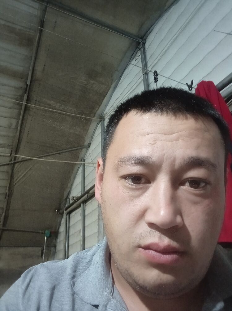 ���� 26338054 ������� ���������, 33 ����, ���� ���������� � ������