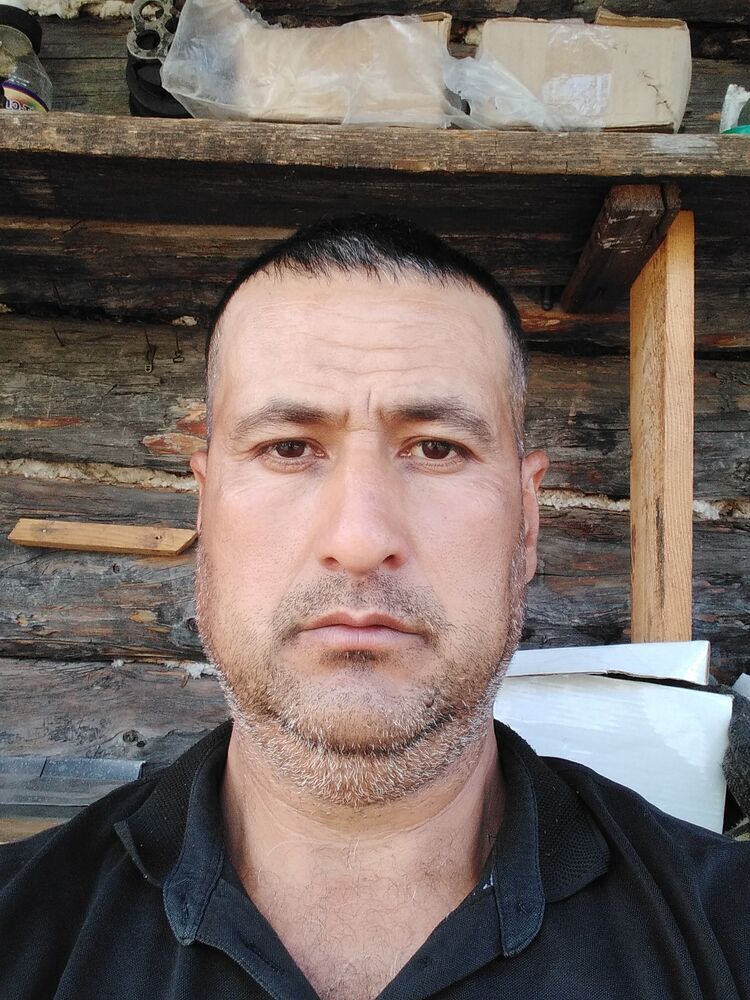  41578904  , 40 ,    