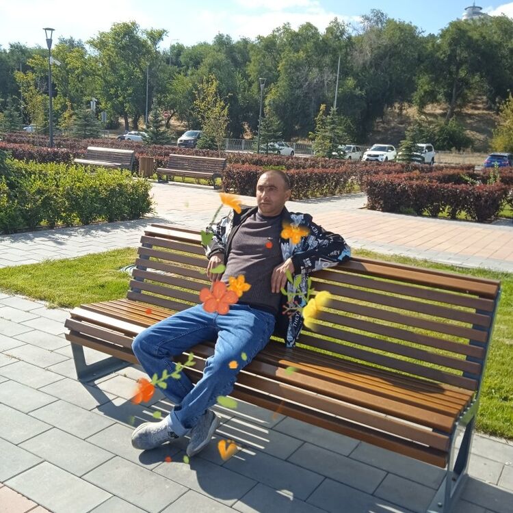  39563064  , 36 ,    