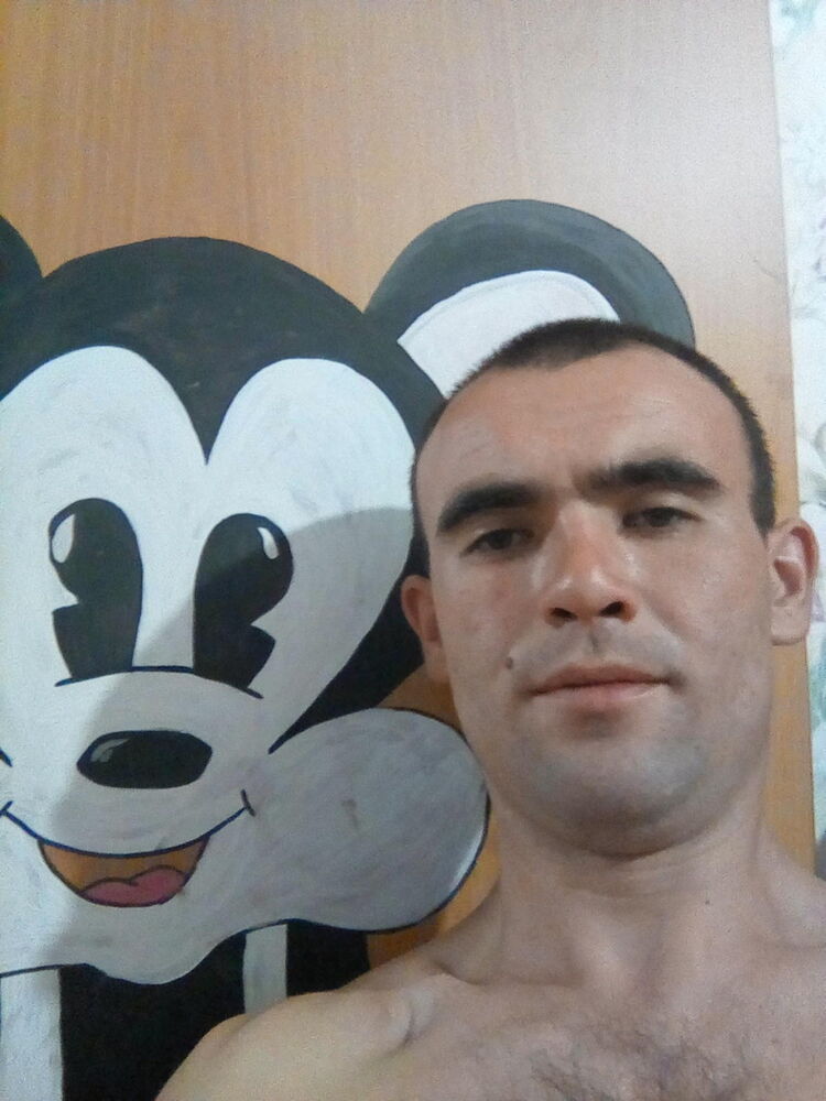  14556104  , 32 ,    