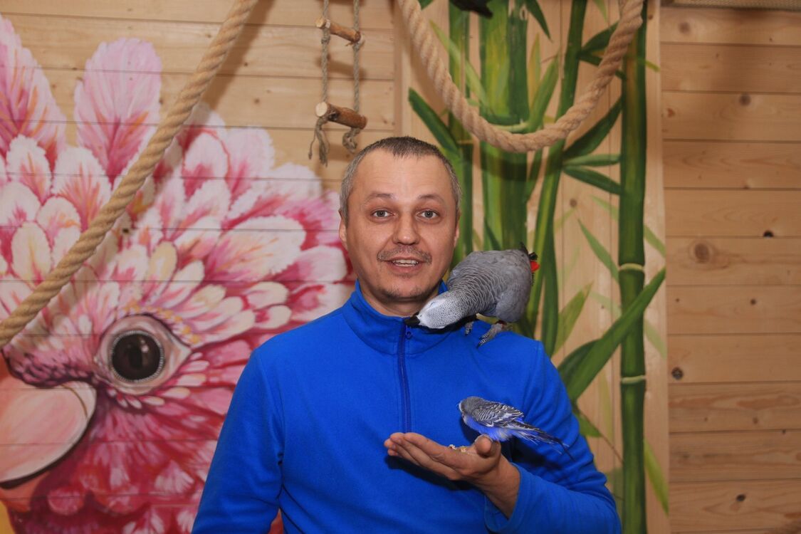 ���� 40972414 ������� ����, 40 ���, ���� ���������� � ������