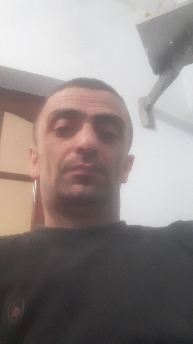  41331794  , 41 ,    