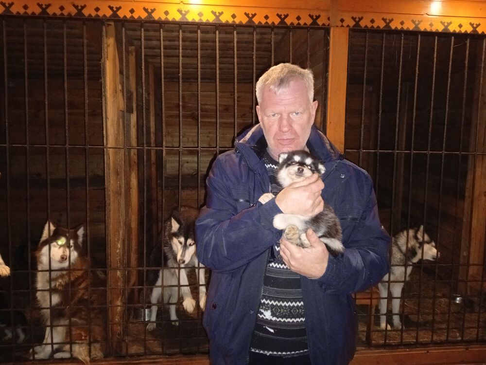 ���� 55712634 ������� ���������, 50 ���, ���� ���������� � ������