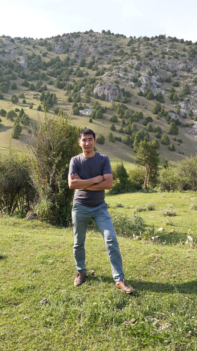 ���������� ��, ���� ������� ���������, 37 ���, ������������ 