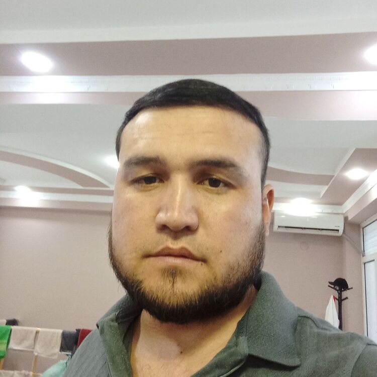  37854544  , 38 ,    