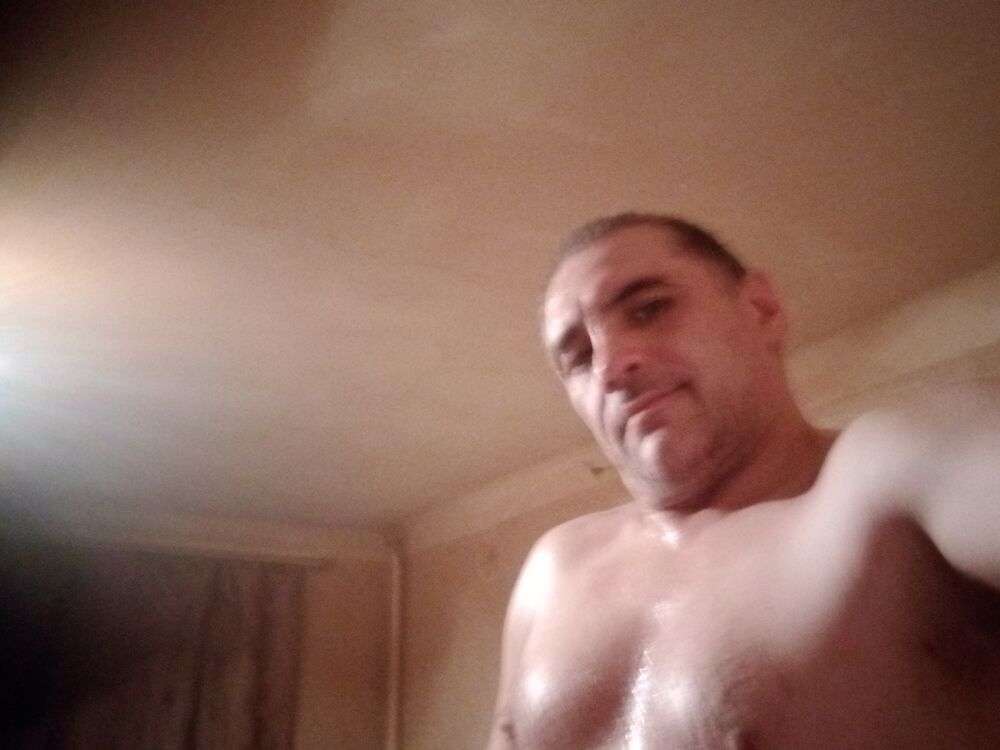  53403834  , 40 ,    