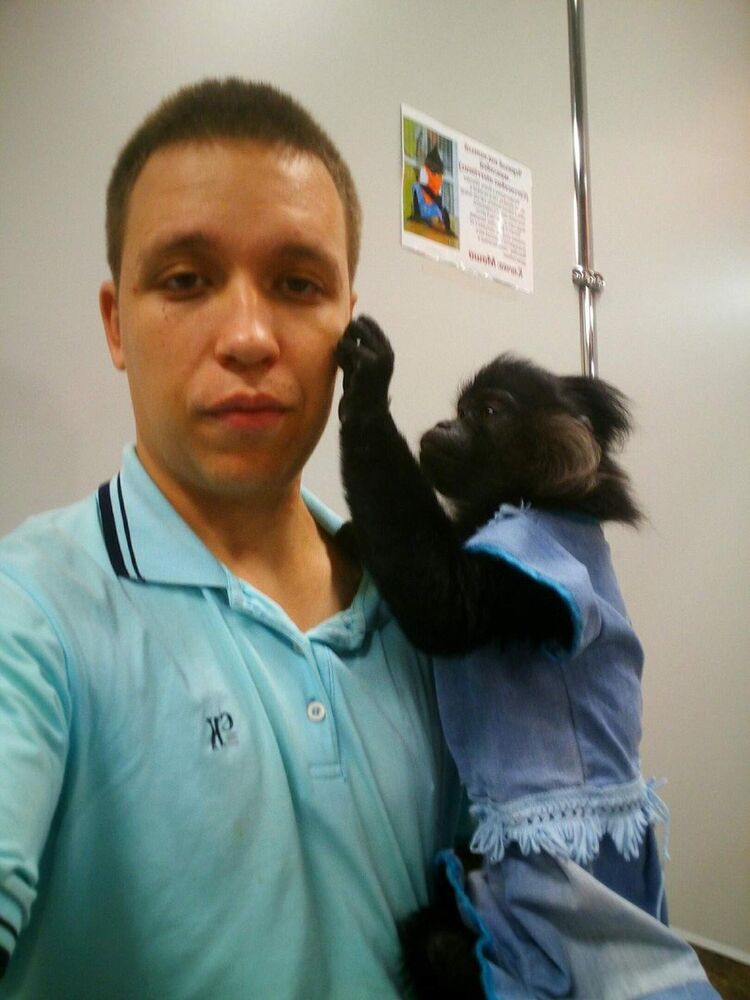  ,   ROMAN, 34 ,   ,   , c , 