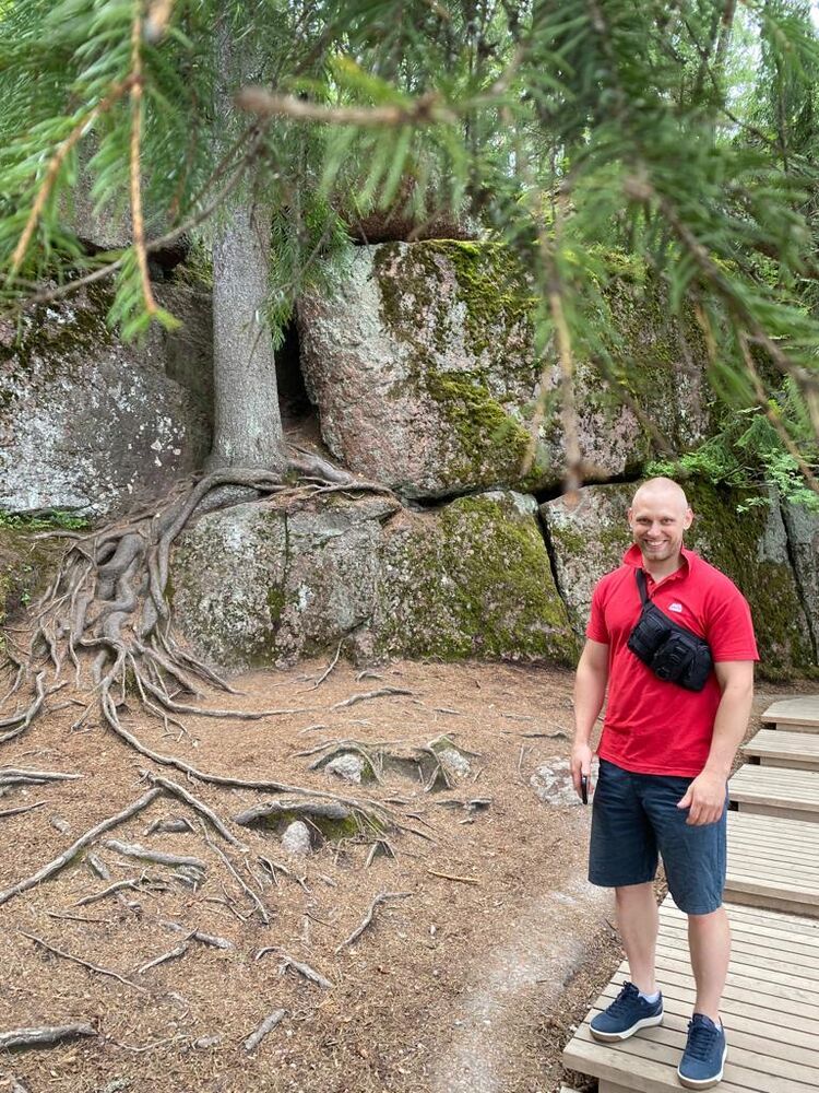  33288984  , 36 ,    -