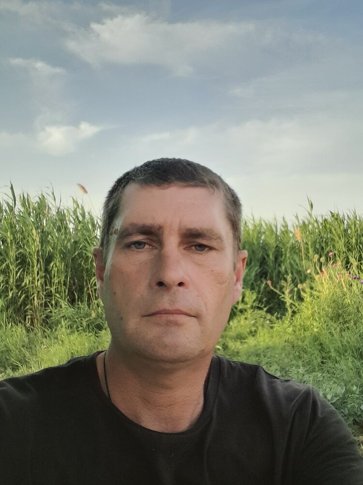  43546484  , 43 ,    