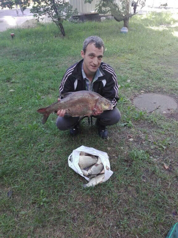  19933734  Vitalie, 43 ,    