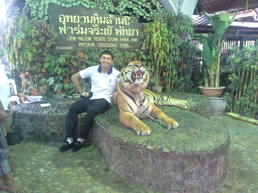 ���� 11967684 ������� Don, 35 ���, ���� ���������� � �������