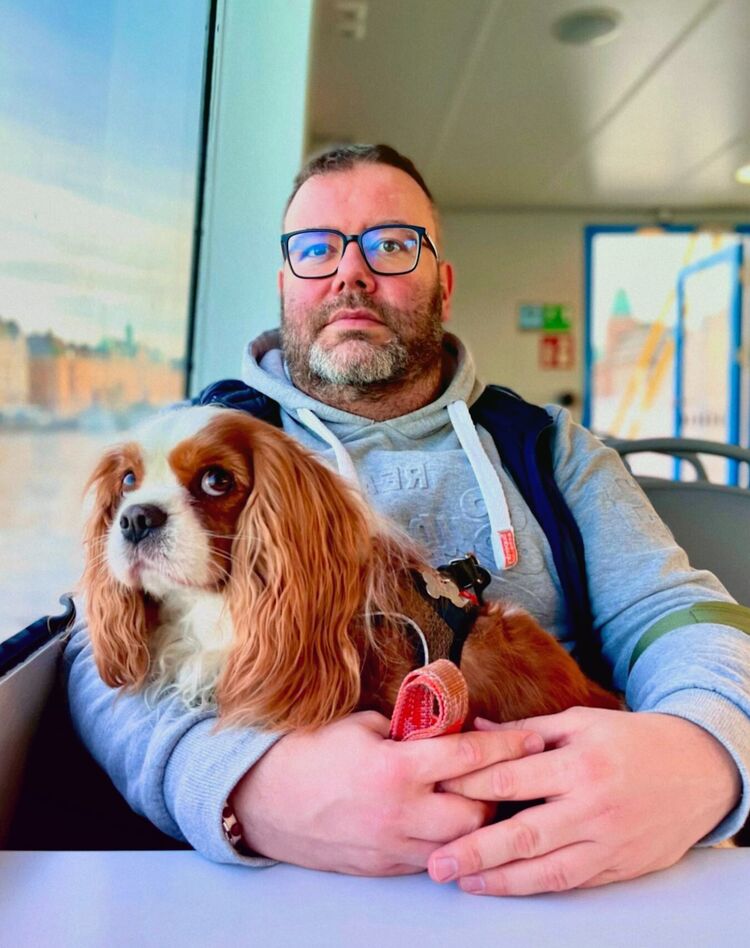 ���� 54786494 ������� ������, 37 ���, ���� ���������� � �������