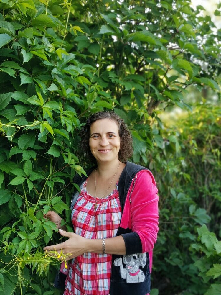 ���� 22298224 ������� �������, 45 ���, ���� ���������� � ������