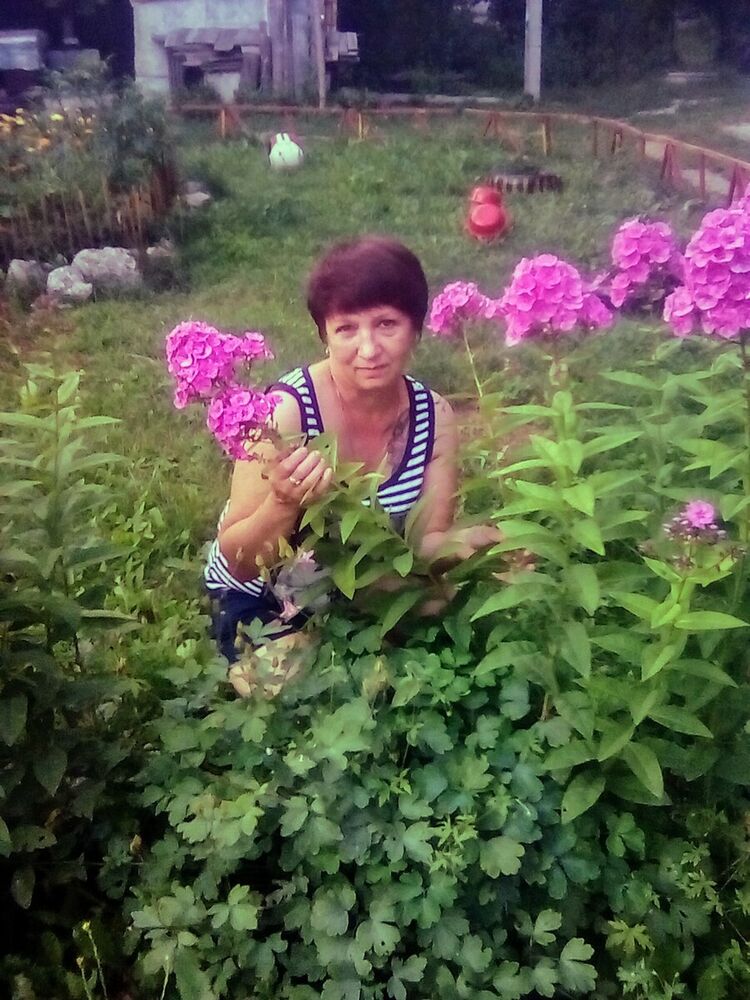  20627444  , 53 ,    