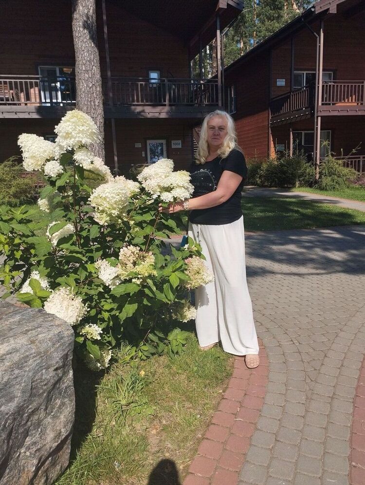 ���� 53467794 ������� �����, 80 ���, ���� ���������� � ����������