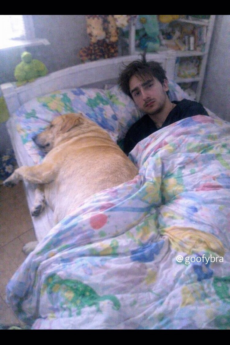 ���������� �����, ���� ����� �����, 21 ���, ������������ ��� ������, ����� � ���������, c�������� ���������, ���������