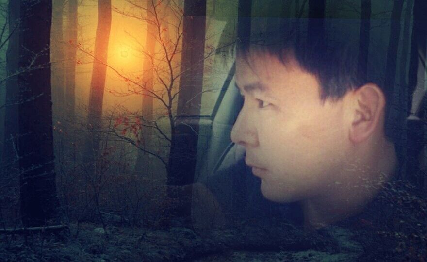  ,   , 41 ,  