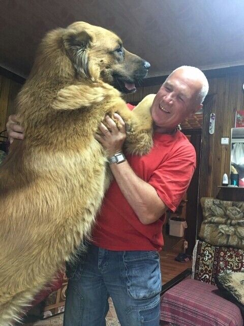  ,   Viktor, 61 ,   