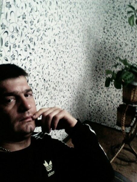  8667824  , 38 ,    