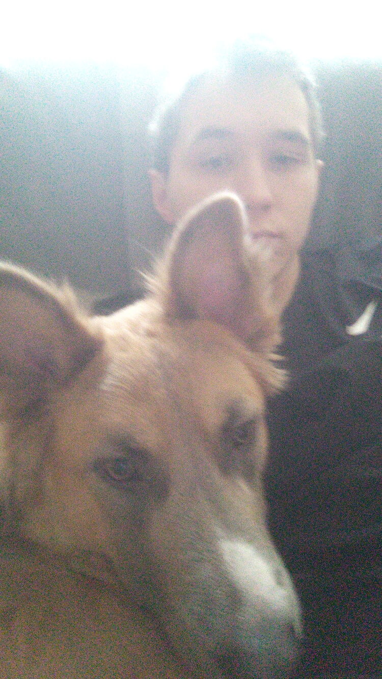 ���� 25140294 ������� ������, 26 ���, ���� ���������� � ������