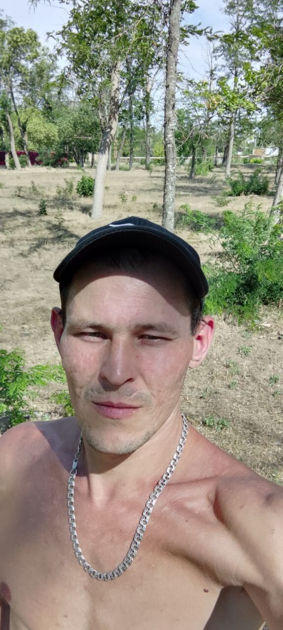  44905584  , 31 ,    